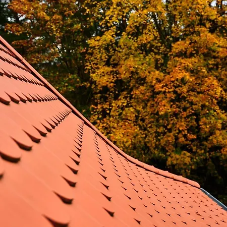 Unterpetersbaechlerhof Daire Fischbach